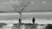 Film Lake GIF