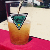 Love It Wow GIF by Palmia Beer