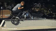 Bmx GIF by woozyBMX