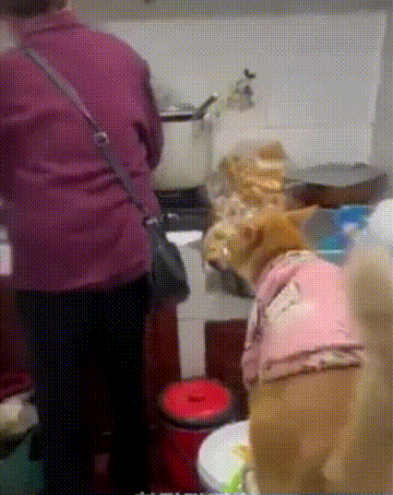 sosososo3989 giphyupload GIF