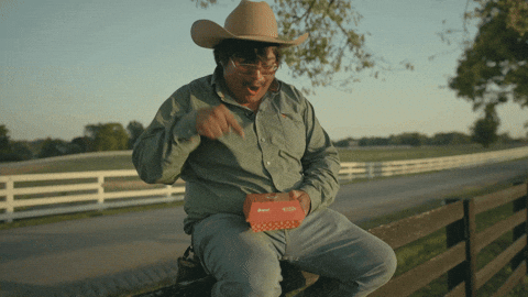 Soul Food 2 The World GIF by Chicken Licken SA