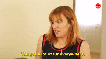 You Got A Lot Of Fur Everywhere 