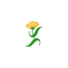 Orangeflower Sticker by Jacob's Pillow Dance Festival