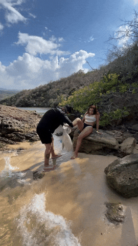 giphy.gif