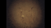 Video Art Film GIF
