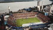RosarioCentralOficial gigante rosariocentral GIF