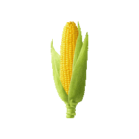 Corn Sticker by KennyknowsTahoe