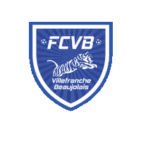 Football Logo Sticker by FCVB