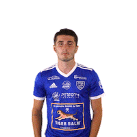 Football Soccer Sticker by FCVB