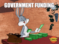 employergrantsofficial money cash dollar dinero GIF