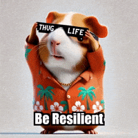 Wisdom Resilience GIF by Guinea Gambino