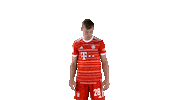 Football Soccer Sticker by FC Bayern Munich