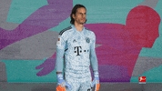 Bayern Sommer GIF by Bundesliga
