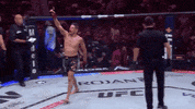 Mixed Martial Arts Sport GIF by UFC