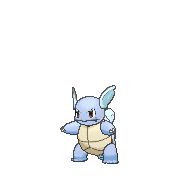 squirtle STICKER