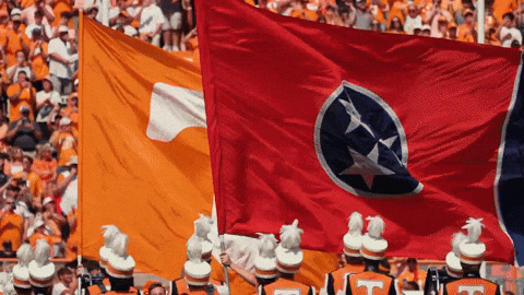 Football College GIF by Tennessee Athletics