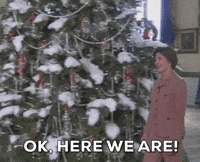 White House Christmas GIF by GIPHY News