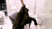 shahs of sunset fall GIF by RealityTVGIFs