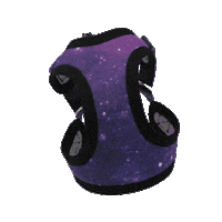 Galaxy Harness Sticker by On a Walk
