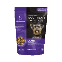 FoleyDogTreatCompany dogtreat foleydog vitalitydog Sticker