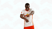 Oh Yeah Dancing GIF by RB Leipzig