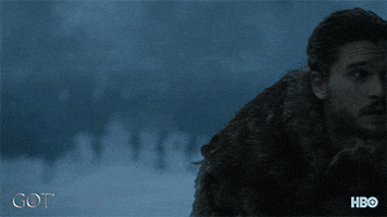 gameofthrones game of thrones hbo GIF