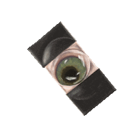 Eye Sherlock Sticker