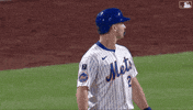 Polar Bear Celebration GIF by New York Mets