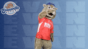 Watching Home Run GIF by Evansville Otters