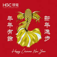 HGCGlobalCommunications  GIF