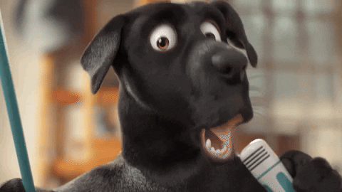 Black Dog Mic Drop GIF by Fox4Pets