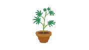 Plant Cannabis Sticker by SandraFencl