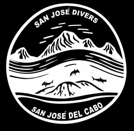 Sanjosedivers giphygifmaker mexico shark diving GIF