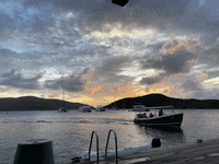 bradblossere8b9  GIF