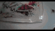 GIF by Harriet