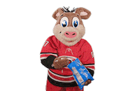 Hungry Ice Hockey Sticker by NHL