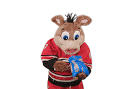 Hungry Ice Hockey Sticker by NHL