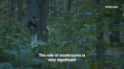 viceland GIF by Hamilton's Pharmacopeia