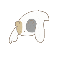 TsaiChueh point 指 flowerbear 花熊 Sticker