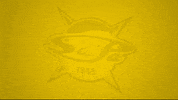 Saipa 20-21 GIF by WhiteWhale