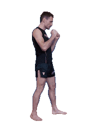 lesakfightteam mma muaythai k1 lesak Sticker
