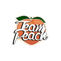 Tpsticker Sticker by TEAM PEACH