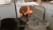 house part GIF