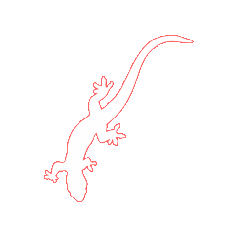 ZionForeverProject giphygifmaker zion lizzard zion national park Sticker