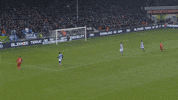 GIF by FOX Sports
