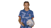 North Carolina Courage Sport Sticker by National Women's Soccer League