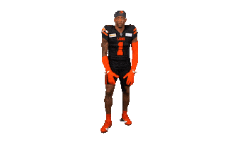 British Columbia Football Sticker by BC Lions