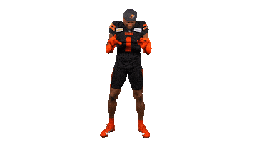 British Columbia Football Sticker by BC Lions