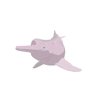 Life Salud Sticker by Fundación Omacha