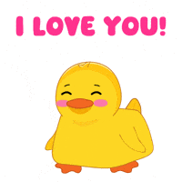 Happy I Love You GIF by MeetDuckey